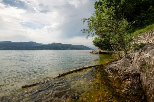 Faune et flore à découvrir lors d'une croisière aux Antilles