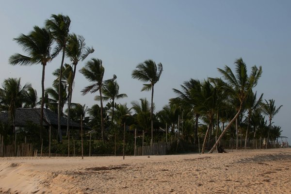 Préparer un voyage en famille : quels documents ne pas oublier?