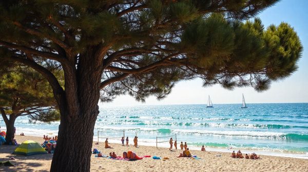 Meilleures activités de camping à Royan près de la mer